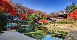 올 가을 단풍놀이는 궁궐과 왕릉에서…. 기사 이미지
